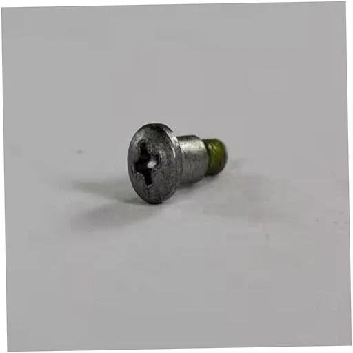GE Washer Lid Hinge Screw - WH02X24105